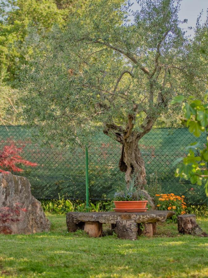 Studio App Luka-We Love Nature. Sveti Ivan  Экстерьер фото